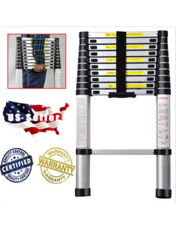 [US-W] High Quality Aluminum Stretchable Ladder Black & Silver