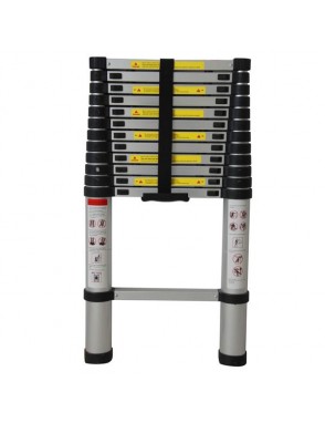 [US-W] High Quality Aluminum Stretchable Ladder Black & Silver